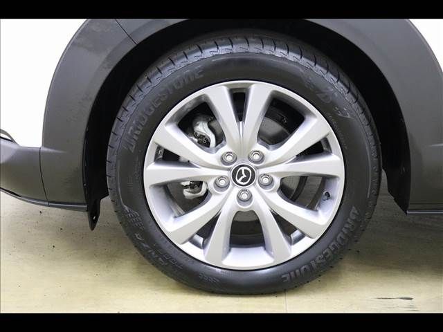 Mazda CX-30 2021-11 22419-23