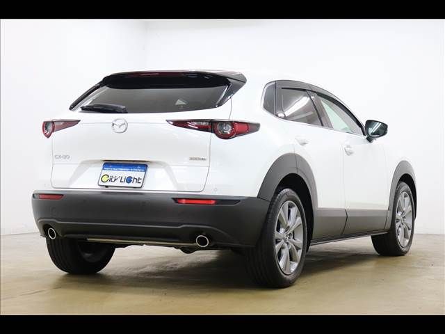 Mazda CX-30 2021-11 22419-18