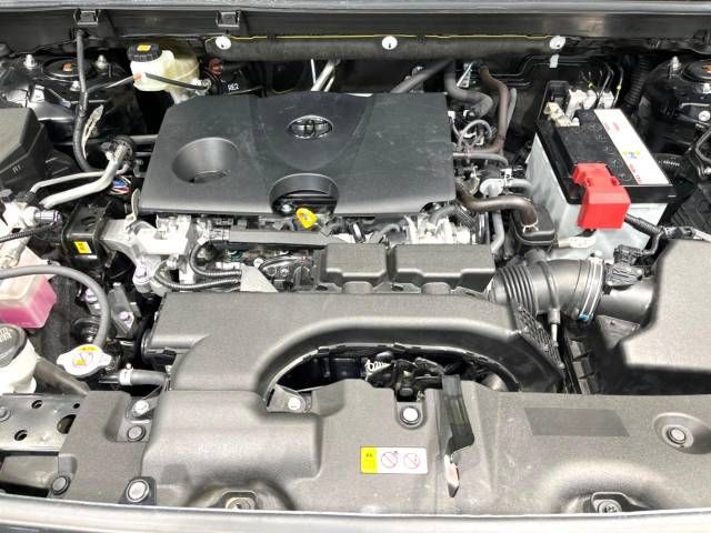 Toyota RAV4 2019-05 195477-18