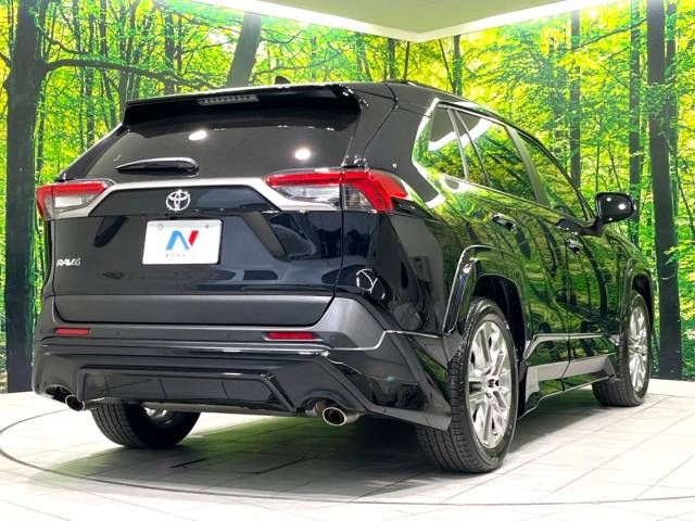 Toyota RAV4 2019-05 195477-17