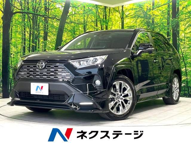 Toyota RAV4 2019-05 195477-0