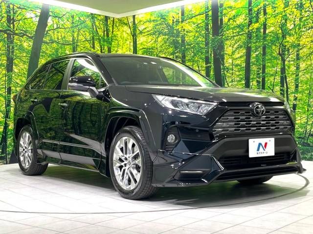 Toyota RAV4 2019-05 195477-16