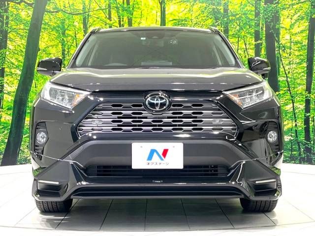 Toyota RAV4 2019-05 195477-14