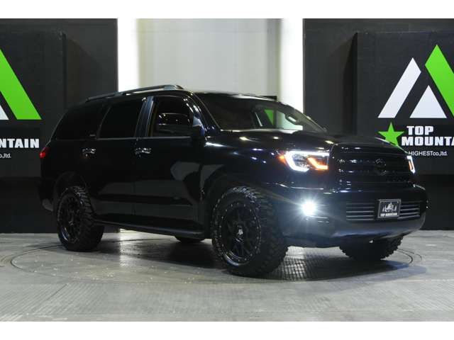Toyota SEQUOIA 2008-01 8581-19