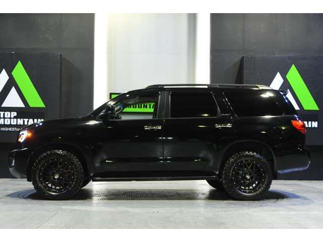 Toyota SEQUOIA 2008-01 8581-9