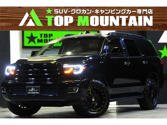 Toyota SEQUOIA 2008-01 8581-0