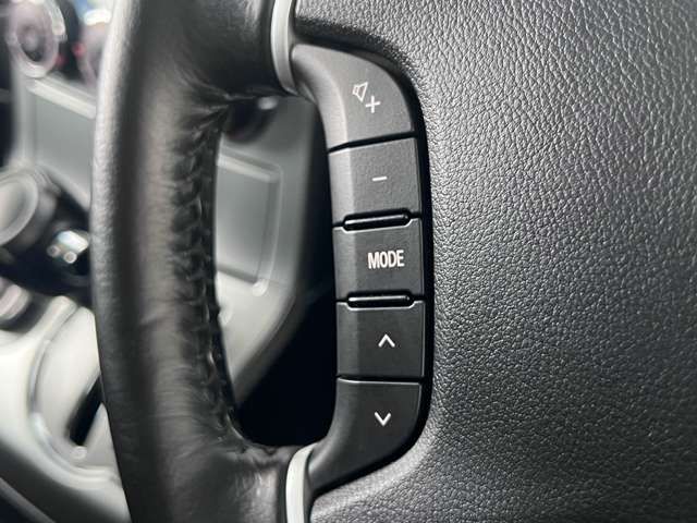 Mitsubishi DELICA D5 2013-11 28552-12