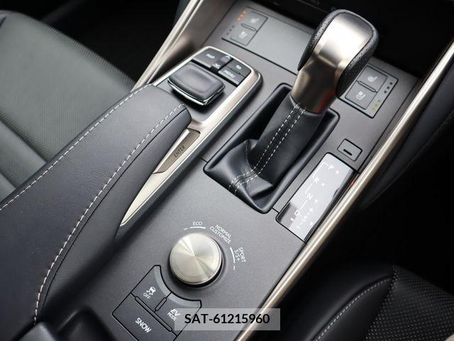 Lexus IS 2019-06 275433-15
