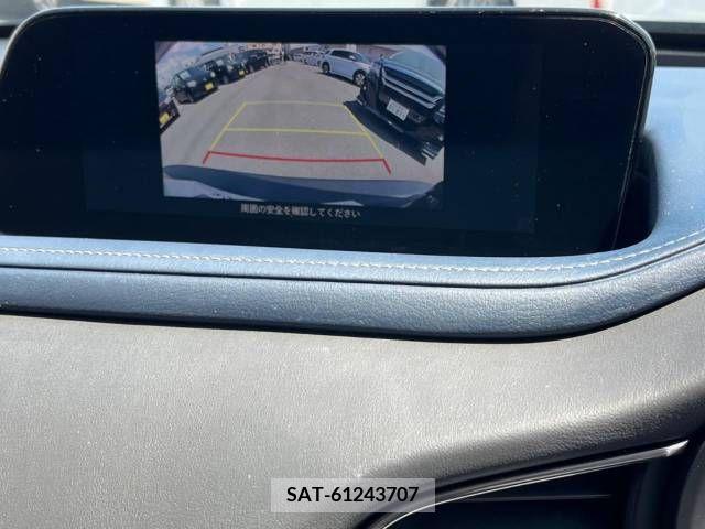 Mazda CX-30 2021-08 295565-3