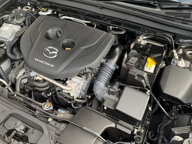 Mazda CX-30 2021-05 23514-6