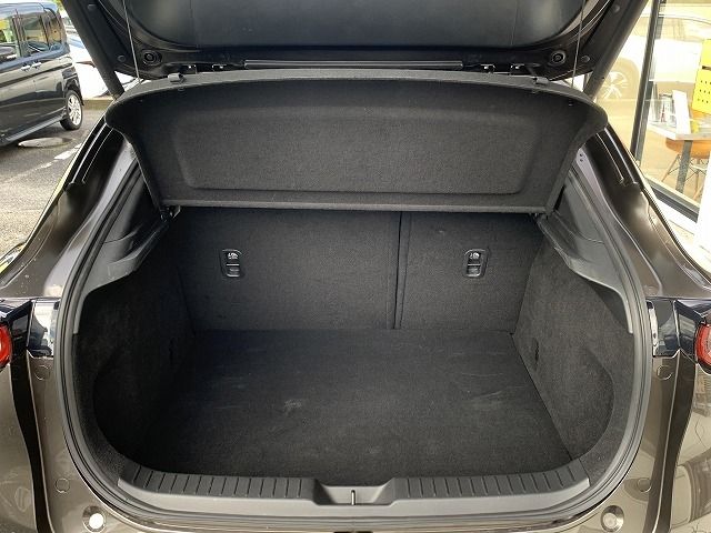 Mazda CX-30 2021-05 23514-24