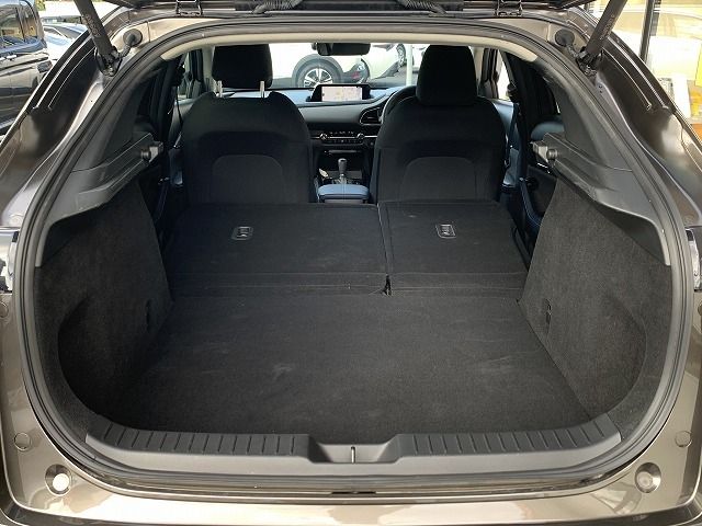 Mazda CX-30 2021-05 23514-25