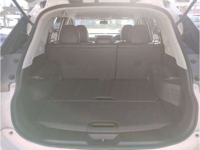 Nissan X-TRAIL 2014-09 12907-11