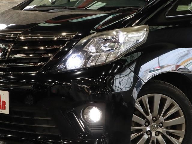 Toyota ALPHARD 2013-02 12179-10