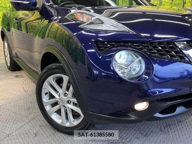 Nissan JUKE 2016-01 229229-12