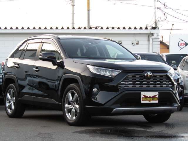 Toyota RAV4 2019-04 24456-2