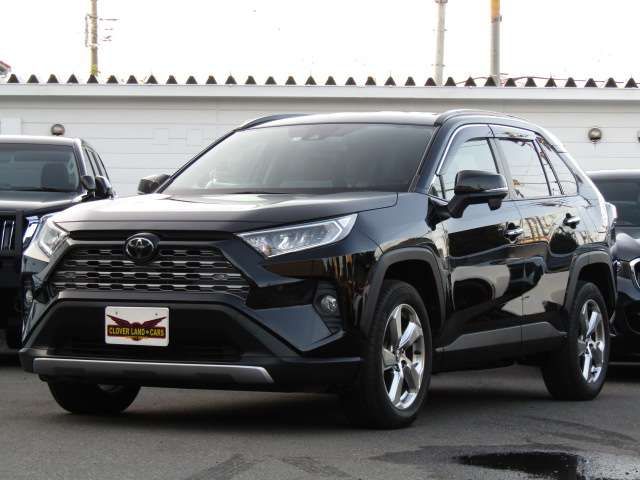 Toyota RAV4 2019-04 24456-1