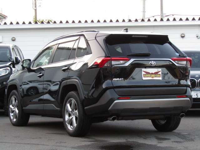 Toyota RAV4 2019-04 24456-4