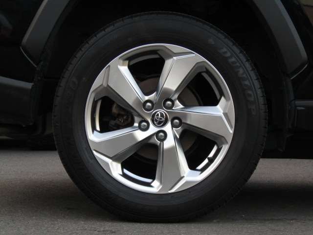 Toyota RAV4 2019-04 24456-6