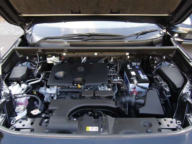 Toyota RAV4 2019-04 24456-19