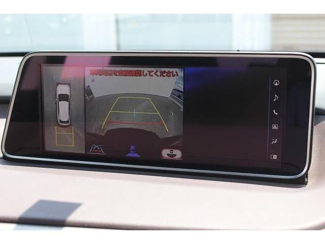 Lexus RX 2018-07 8698-2