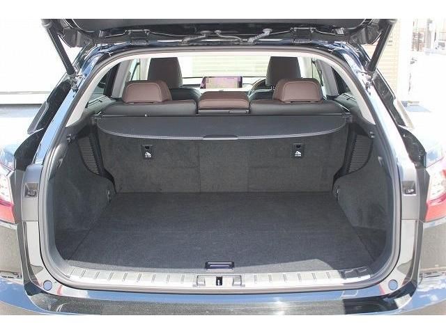 Lexus RX 2018-07 8698-17