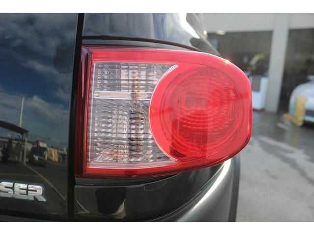 Toyota FJ CRUISER 2011-02 8624-6