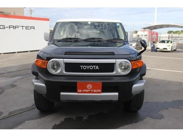 Toyota FJ CRUISER 2011-02 8624-1