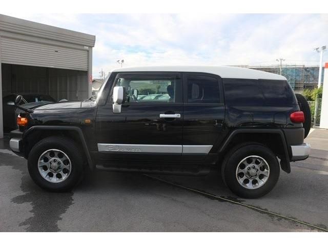 Toyota FJ CRUISER 2011-02 8624-4