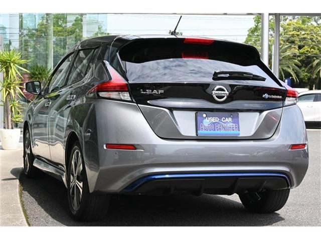 Nissan LEAF 2018-01 3311-2