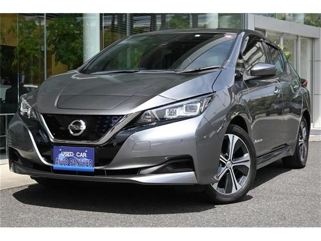Nissan LEAF 2018-01 3311-0