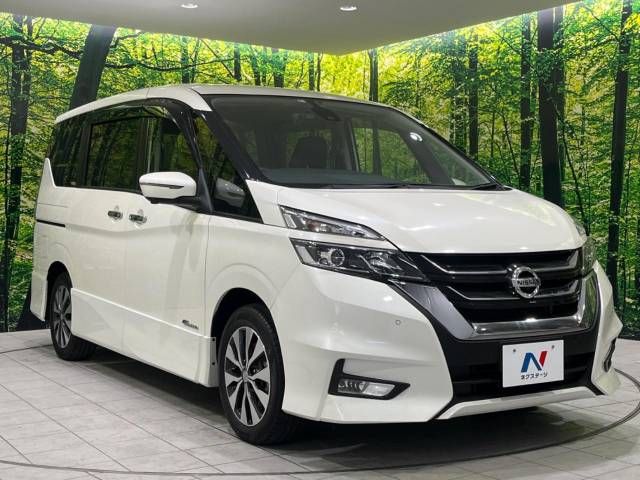 Nissan SERENA 2018-06 26584-16