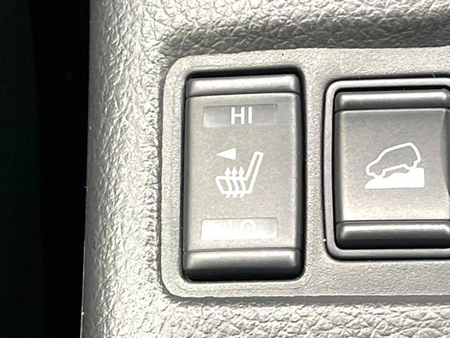 Nissan X-TRAIL 2015-11 22557-4