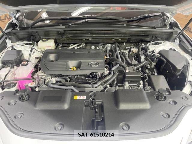 Lexus NX 2023-07 275725-17