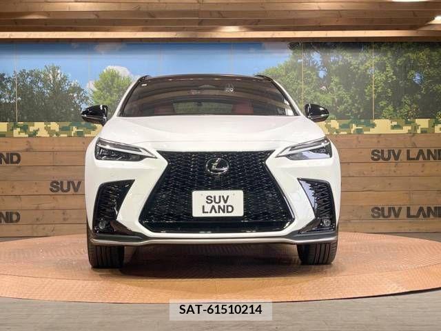 Lexus NX 2023-07 275725-13