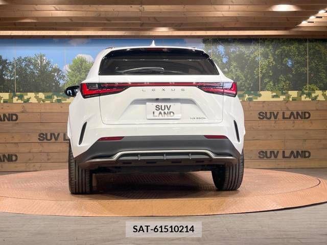 Lexus NX 2023-07 275725-14