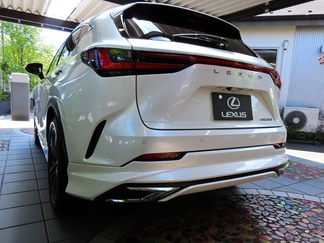 Lexus NX 2023-06 11619-1