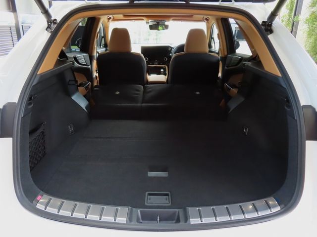 Lexus NX 2023-06 11619-28