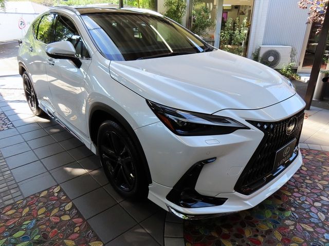 Lexus NX 2023-06 11619-11