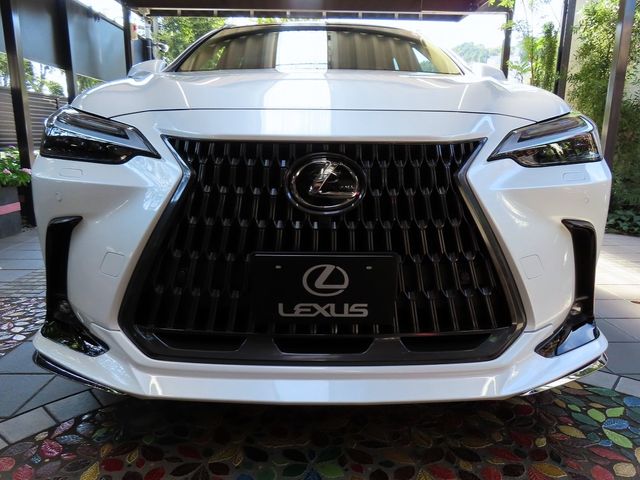 Lexus NX 2023-06 11619-4
