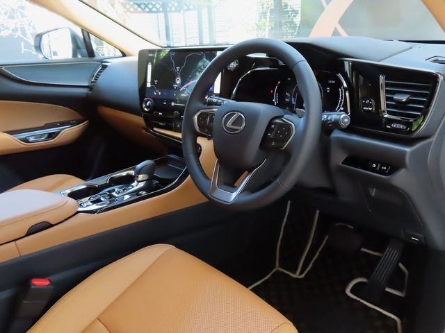 Lexus NX 2023-06 11619-19