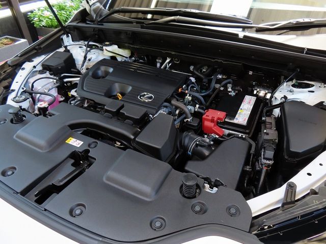 Lexus NX 2023-06 11619-29
