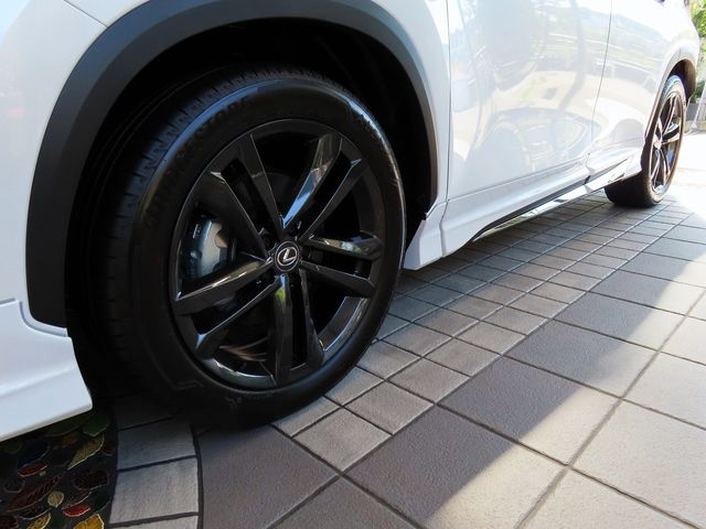 Lexus NX 2023-06 11619-9