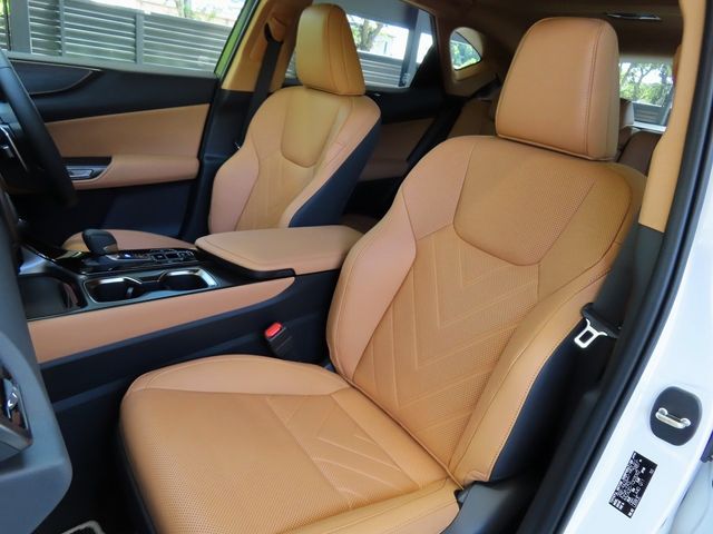 Lexus NX 2023-06 11619-16