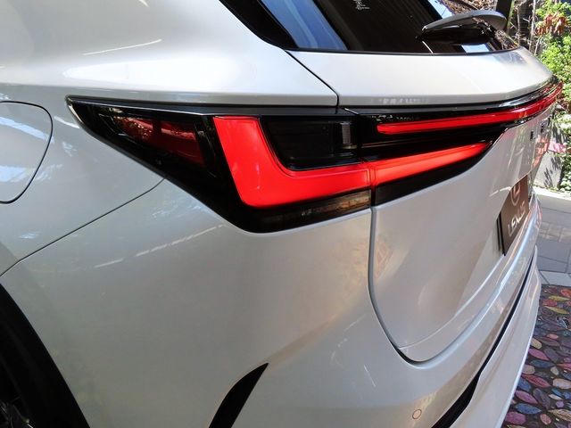 Lexus NX 2023-06 11619-7