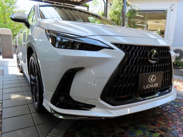 Lexus NX 2023-06 11619-0