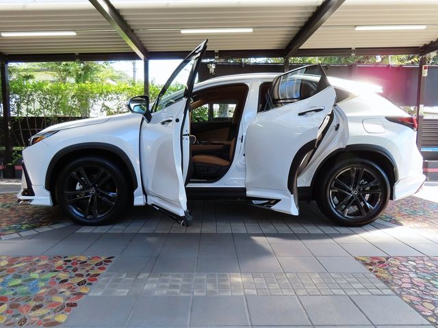 Lexus NX 2023-06 11619-14