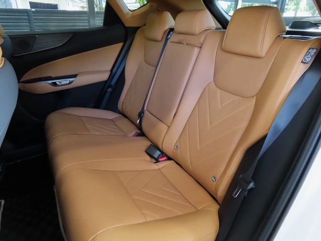 Lexus NX 2023-06 11619-17