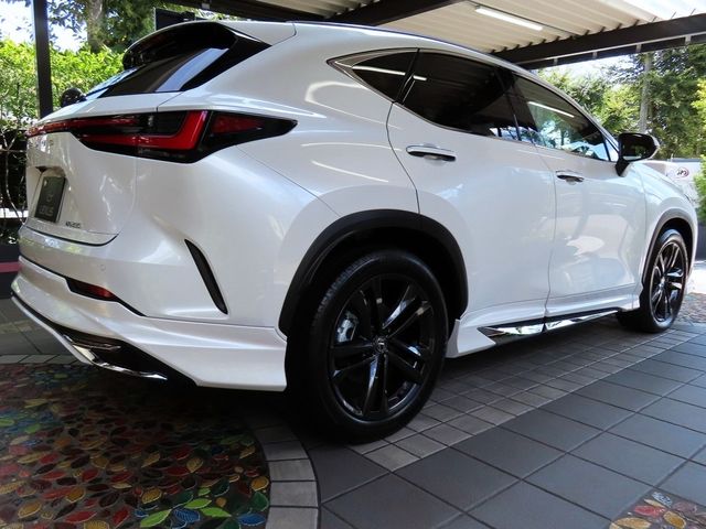Lexus NX 2023-06 11619-10