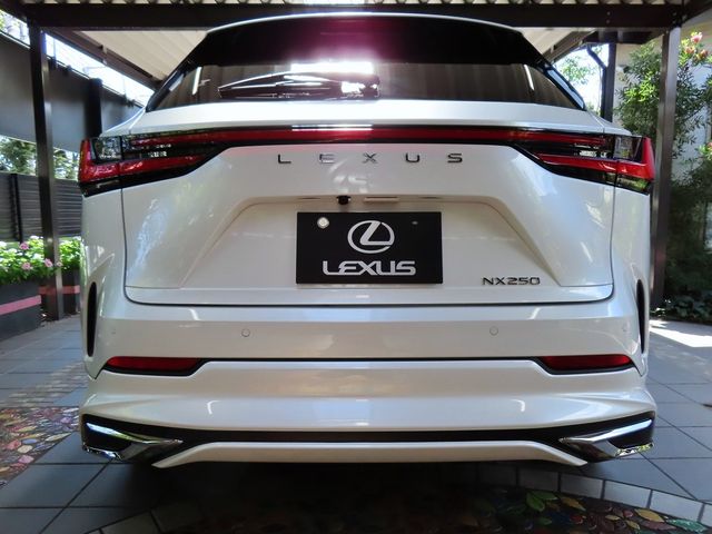 Lexus NX 2023-06 11619-5